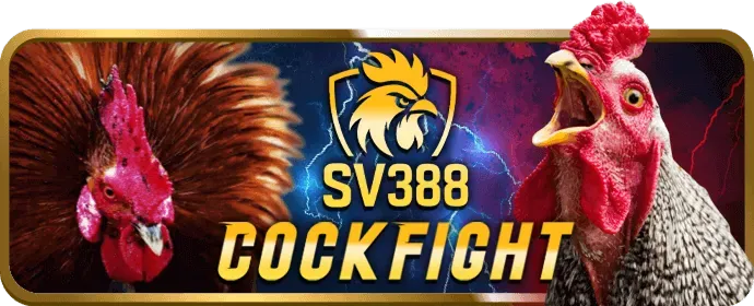Hoàn trả cược thể thao xin88 bet