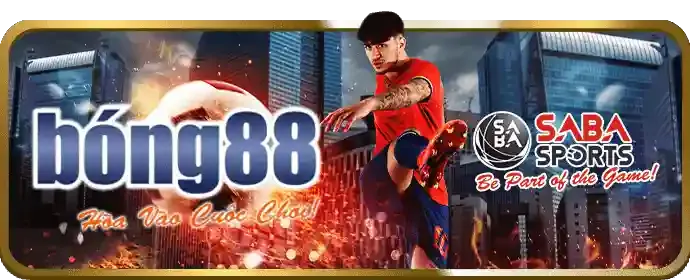 Thiết lập thông tin ngân hàng